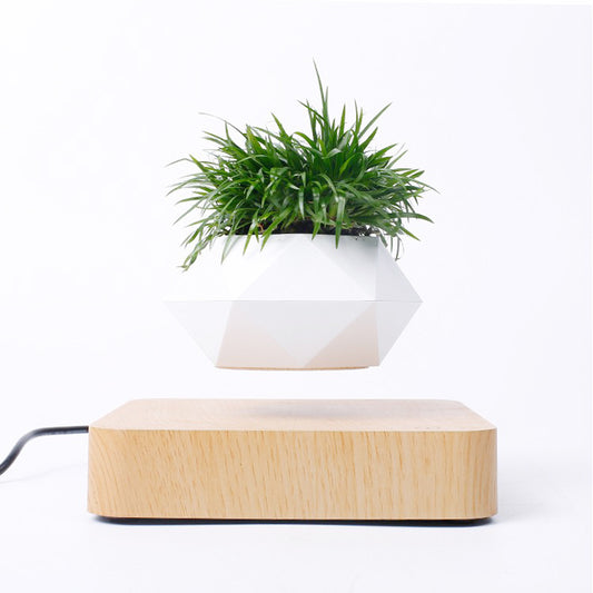 Levitating Potted Plant